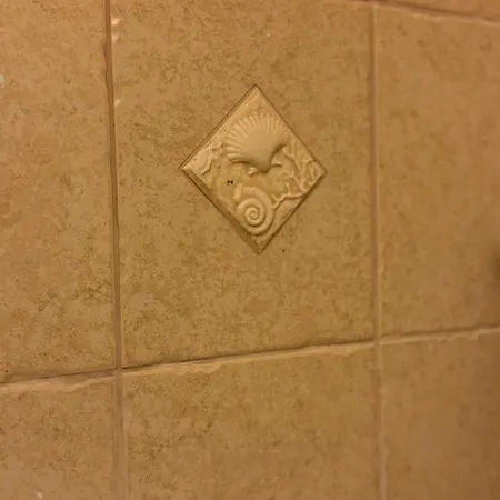 Hotel Zuco
